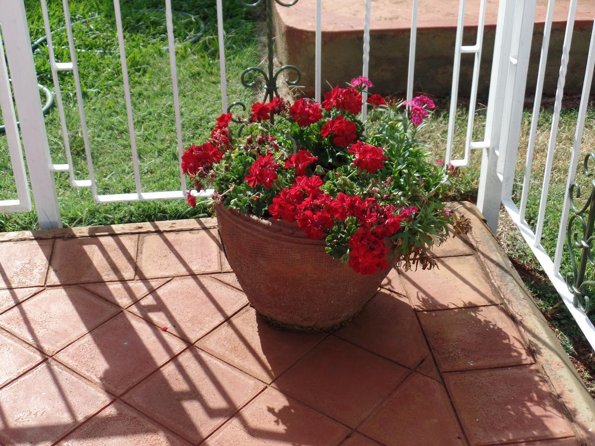 Villa Leone Boutique Hotel Nairobi Kültér fotó